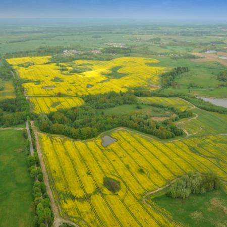 Wyświetl org. rozmiar 