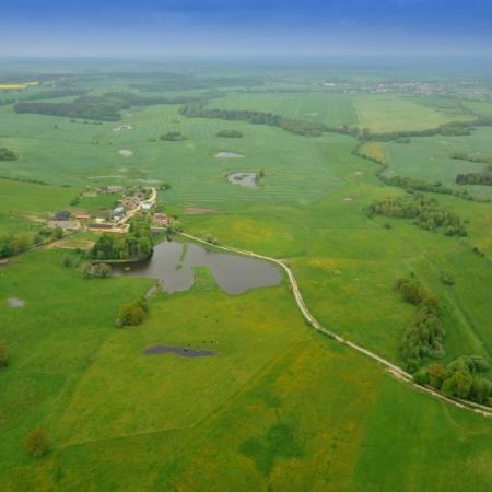 Wyświetl org. rozmiar 