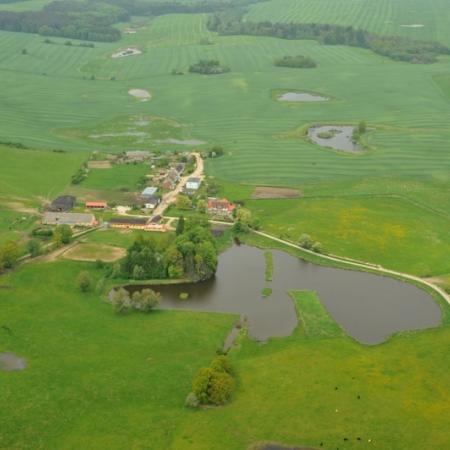 Wyświetl org. rozmiar 