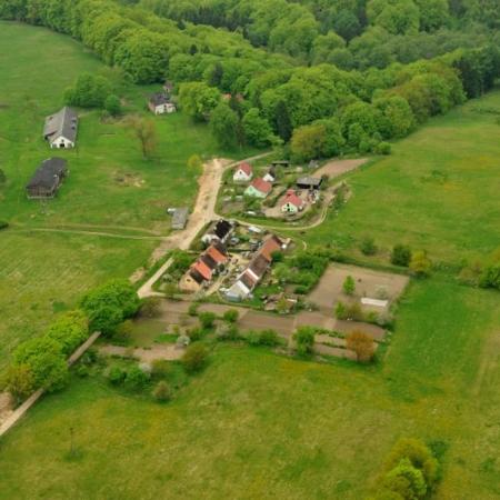 Wyświetl org. rozmiar 