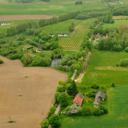 Wyświetl org. rozmiar 