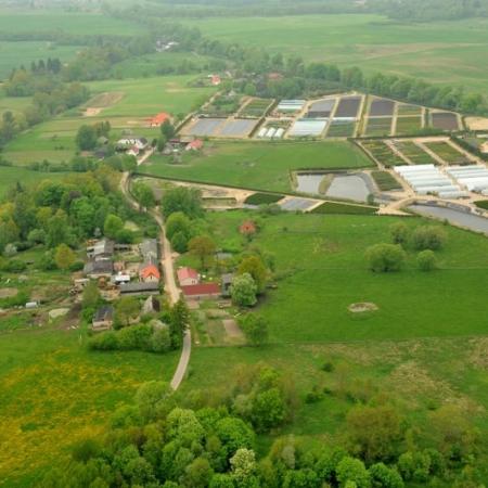 Wyświetl org. rozmiar 