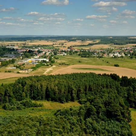 Wyświetl org. rozmiar 