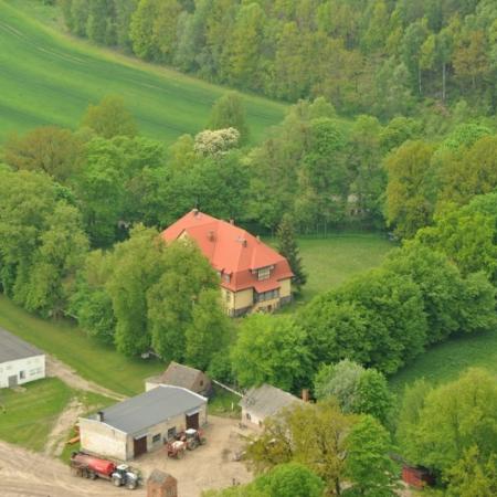 Wyświetl org. rozmiar 