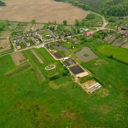 Wyświetl org. rozmiar 